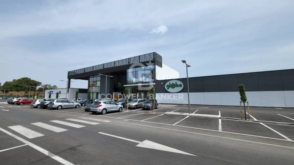 negozio in affitto a Pomezia
