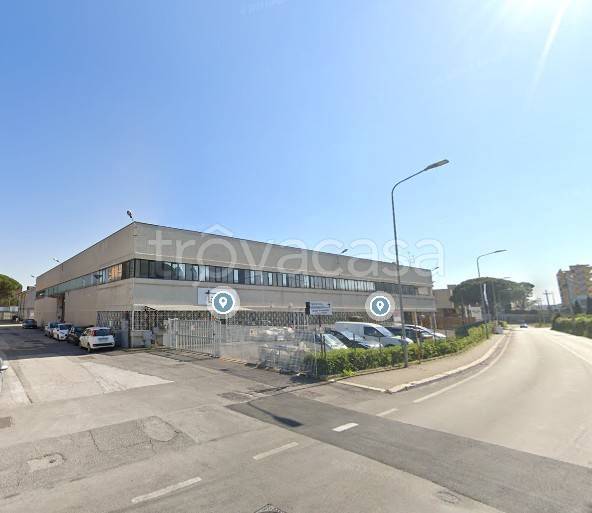 appartamento in affitto a Pomezia