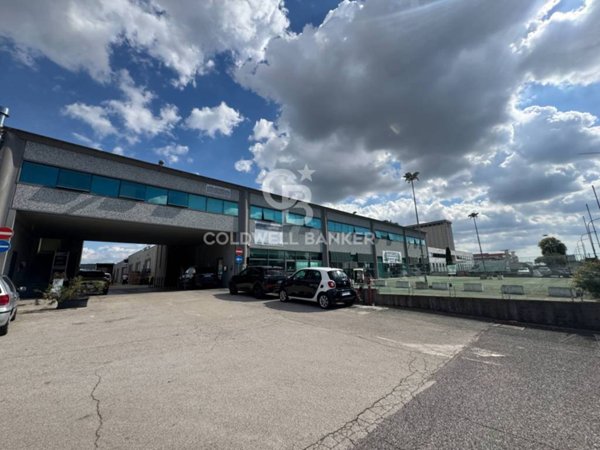 negozio in affitto a Pomezia