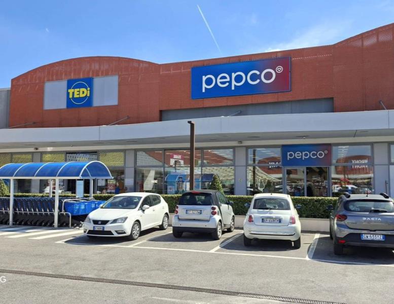 immagine annuncio 0 di 15