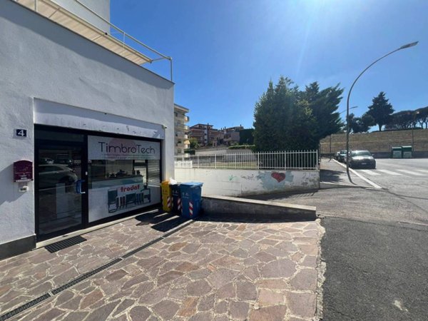negozio in affitto a Pomezia