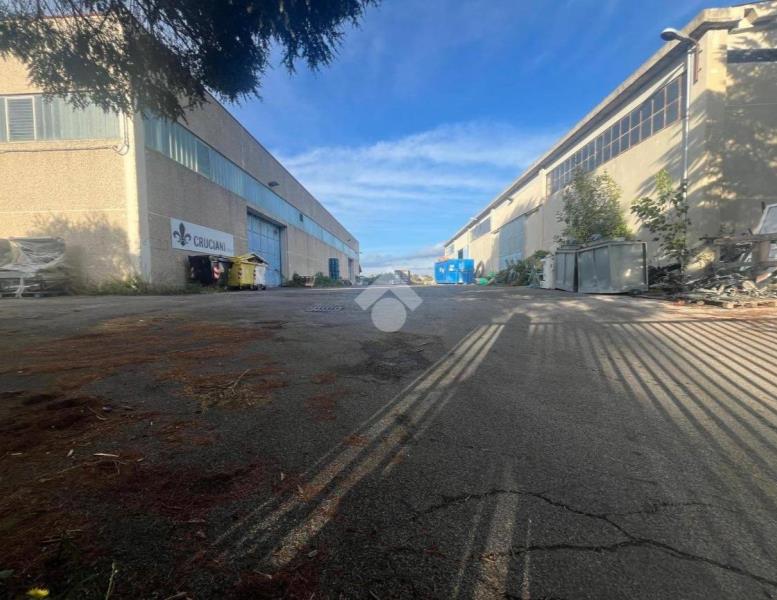 locale commerciale in affitto a Pomezia