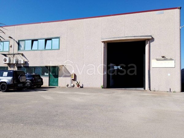 locale commerciale in affitto a Pomezia