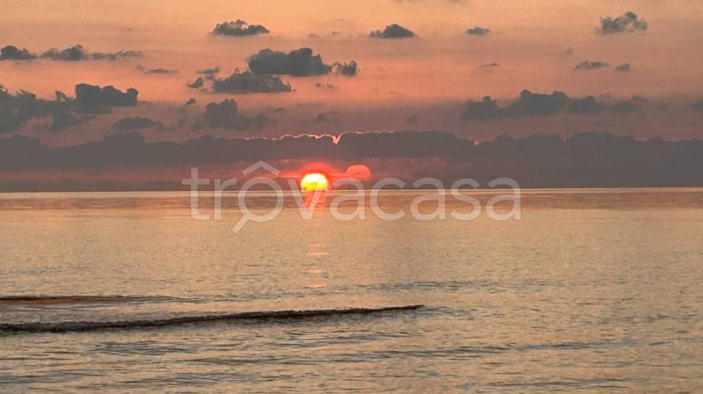 negozio in affitto a Pomezia in zona Torvaianica