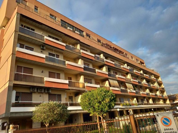 appartamento in affitto a Pomezia