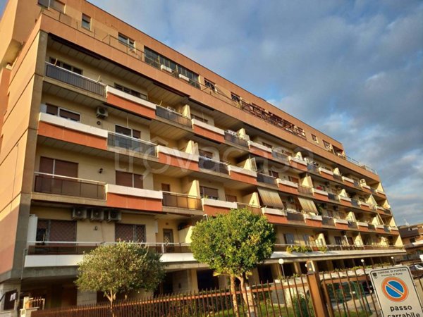 appartamento in affitto a Pomezia