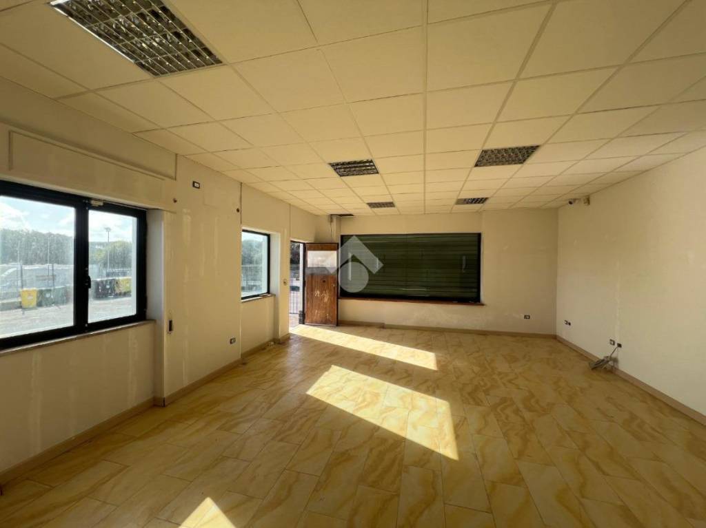 negozio in affitto a Pomezia