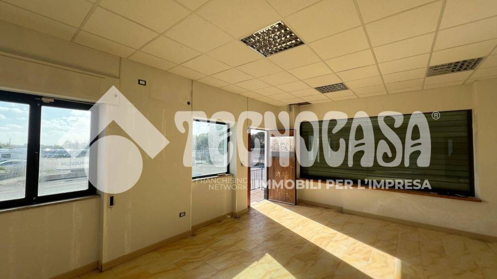 negozio in affitto a Pomezia