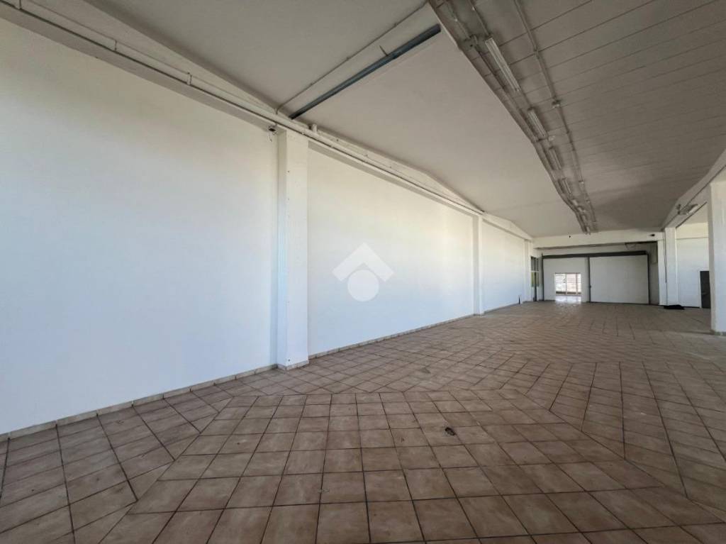 negozio in affitto a Pomezia