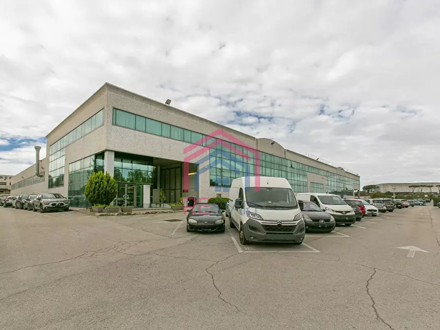 ufficio in affitto a Pomezia