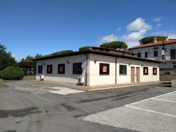 negozio in affitto a Pomezia in zona Santa Palomba