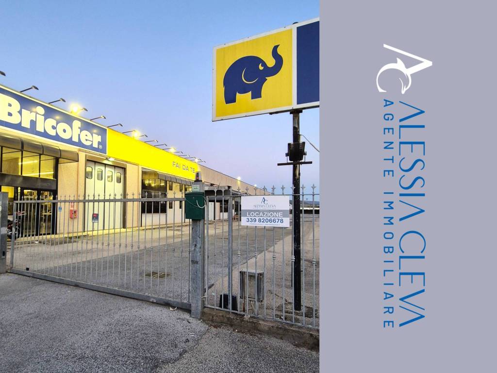 negozio in affitto a Pomezia