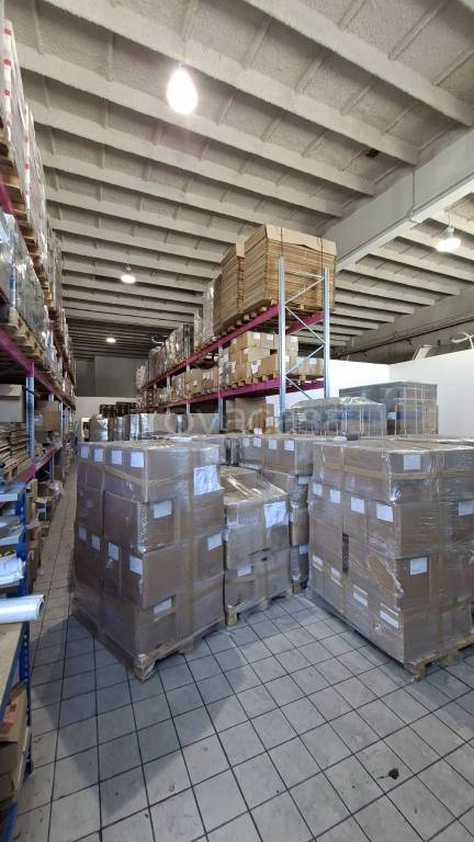 locale commerciale in affitto a Pomezia