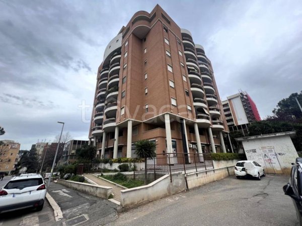 negozio in affitto a Pomezia