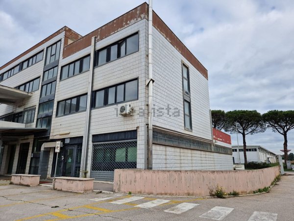 ufficio in affitto a Pomezia