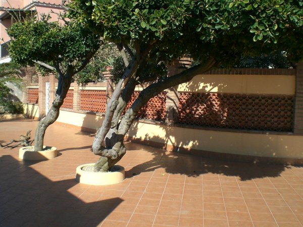 esavano in affitto a Pomezia in zona Torvaianica