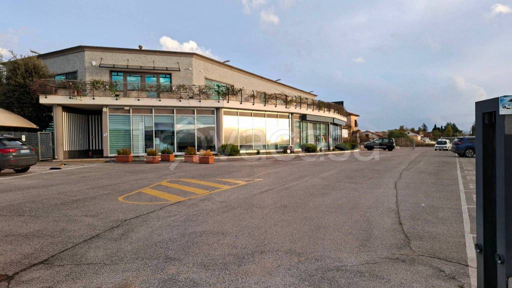 negozio in affitto a Pomezia