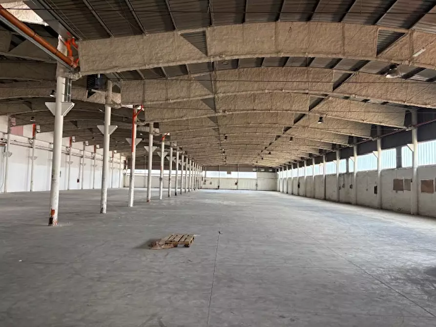 capannone in affitto a Pomezia