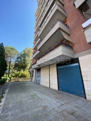 negozio in affitto a Pomezia