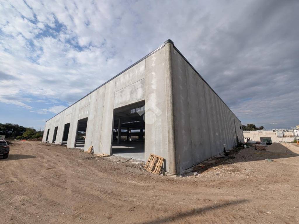 capannone in affitto a Pomezia in zona Pratica di Mare