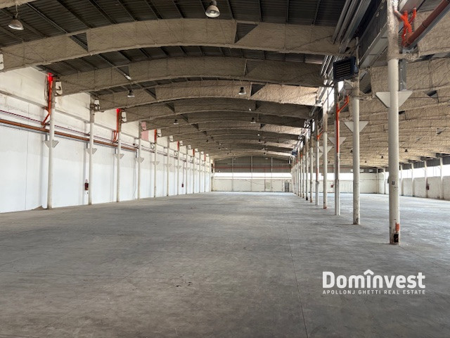 capannone in affitto a Pomezia in zona Pratica di Mare