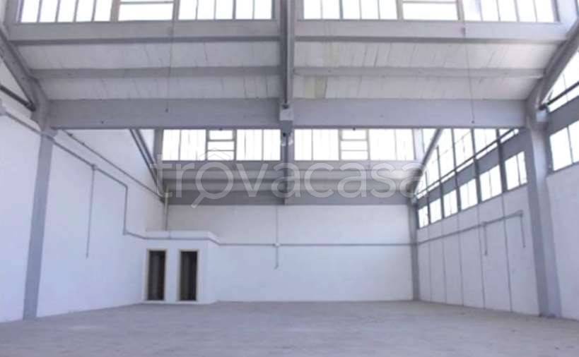 locale commerciale in affitto a Pomezia