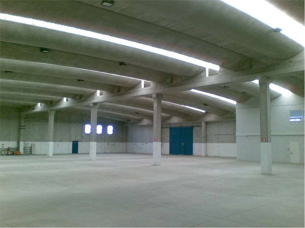 capannone in affitto a Pomezia