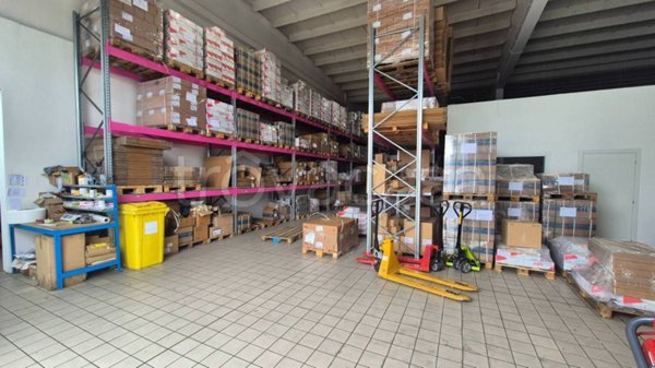 locale commerciale in affitto a Pomezia