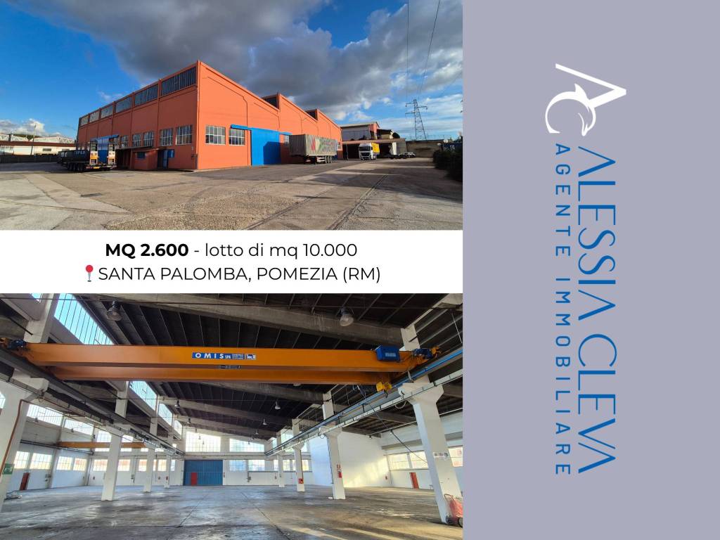 capannone in affitto a Pomezia in zona Santa Palomba