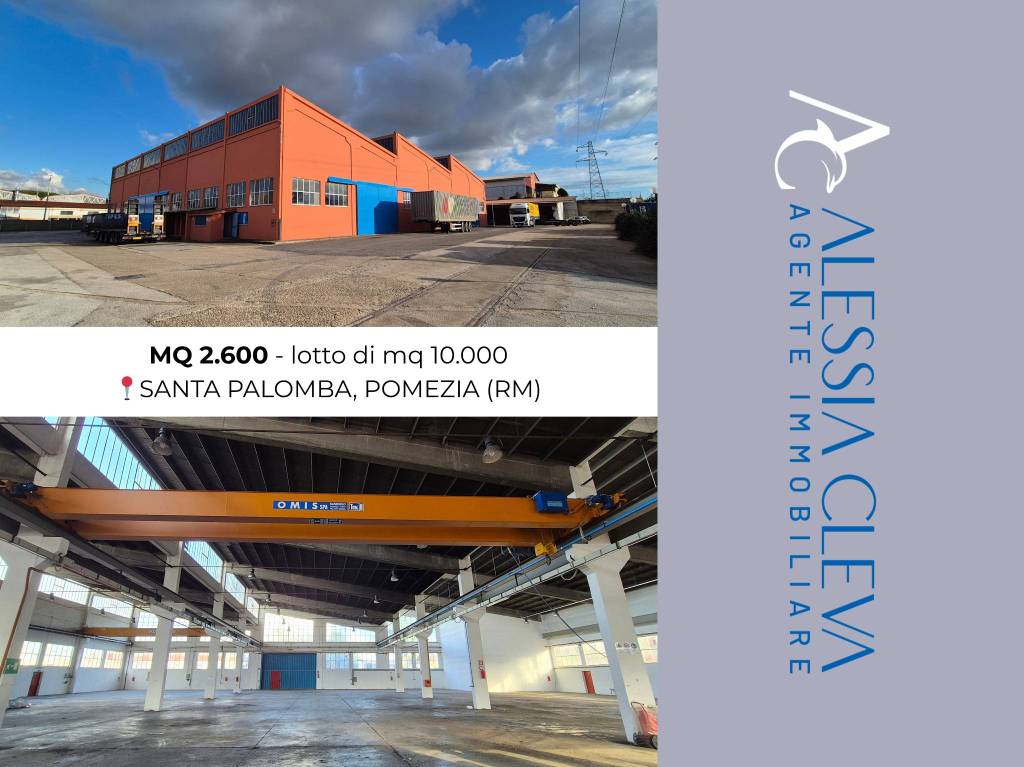 capannone in affitto a Pomezia in zona Santa Palomba
