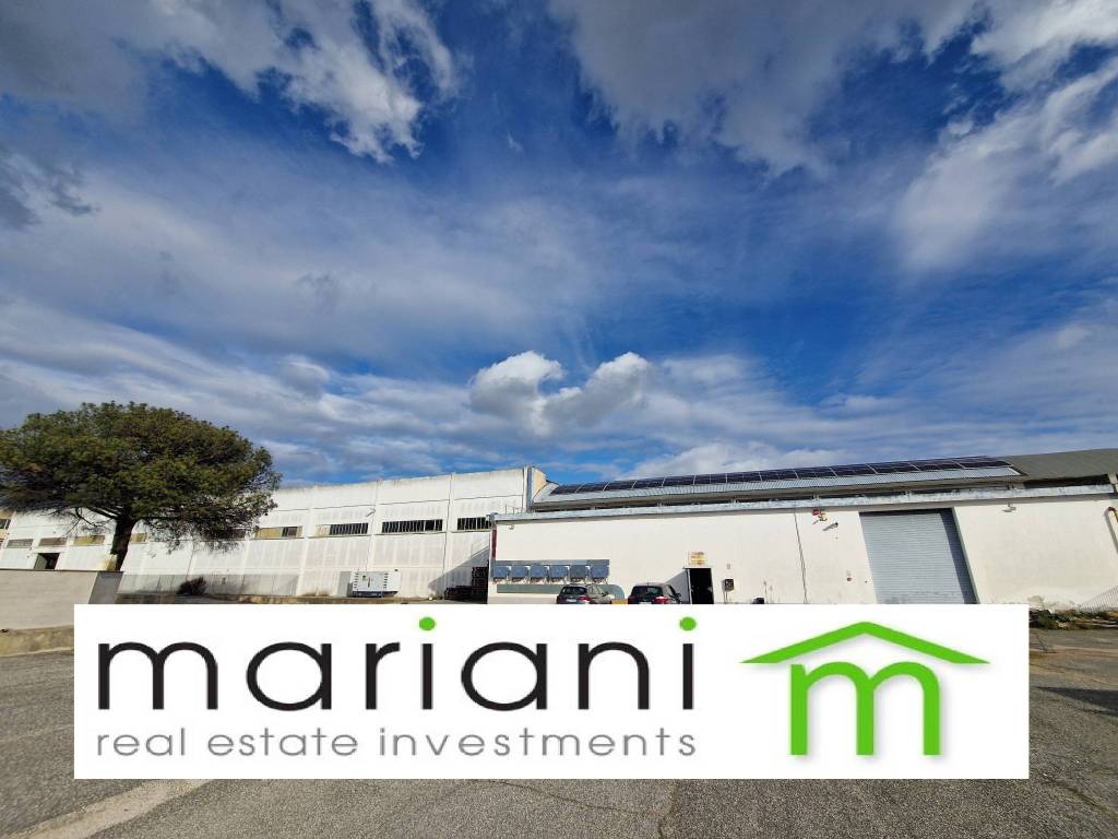 capannone in affitto a Pomezia in zona Pratica di Mare