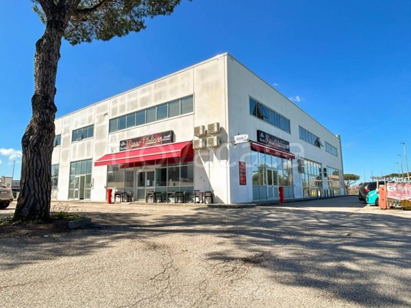 appartamento in affitto a Pomezia in zona Santa Palomba