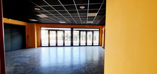 negozio in affitto a Pomezia