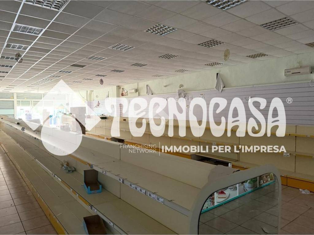 negozio in affitto a Pomezia