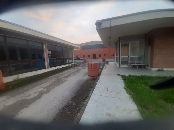 capannone in affitto a Pomezia