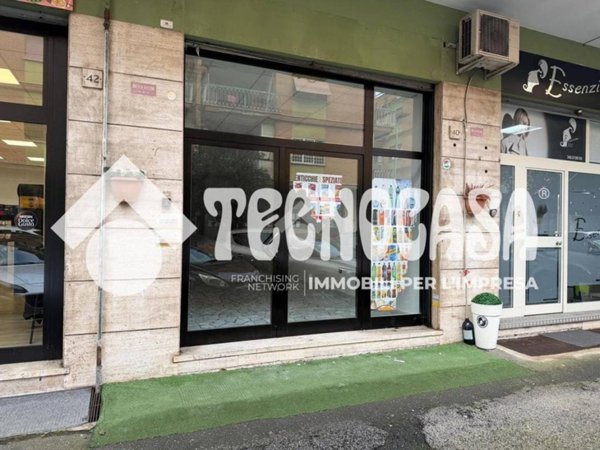 negozio in affitto a Pomezia