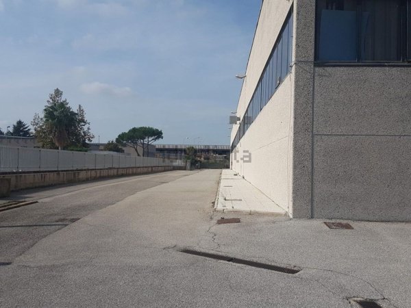 capannone in affitto a Pomezia