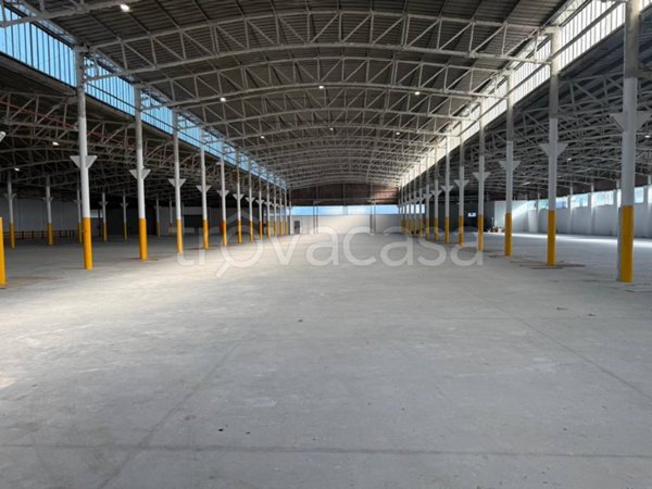 capannone in affitto a Pomezia