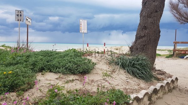 appartamento in affitto a Pomezia in zona Torvaianica