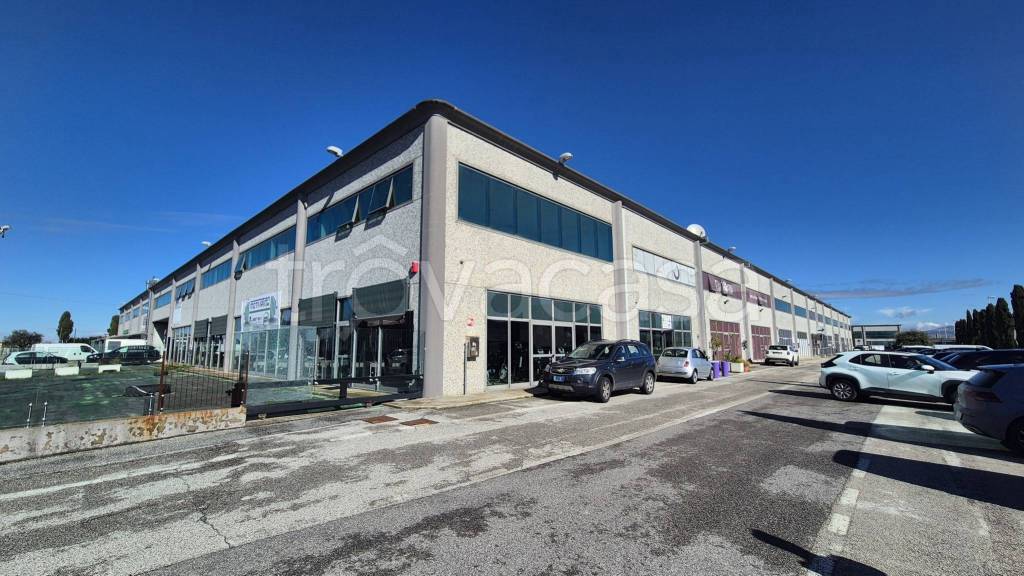 negozio in affitto a Pomezia