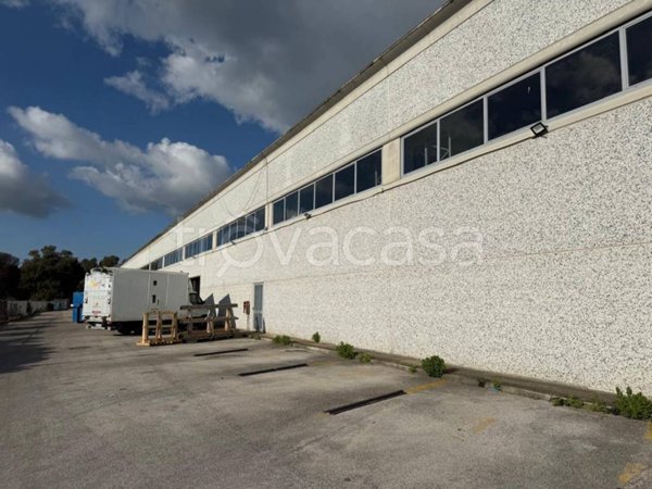 locale commerciale in affitto a Pomezia