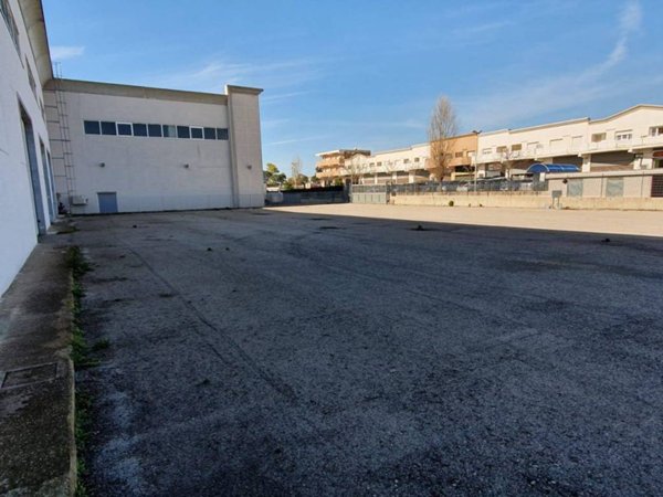 capannone in affitto a Pomezia