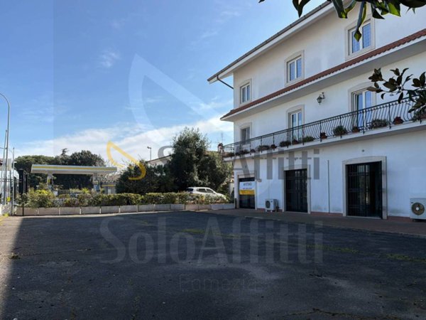 negozio in affitto a Pomezia