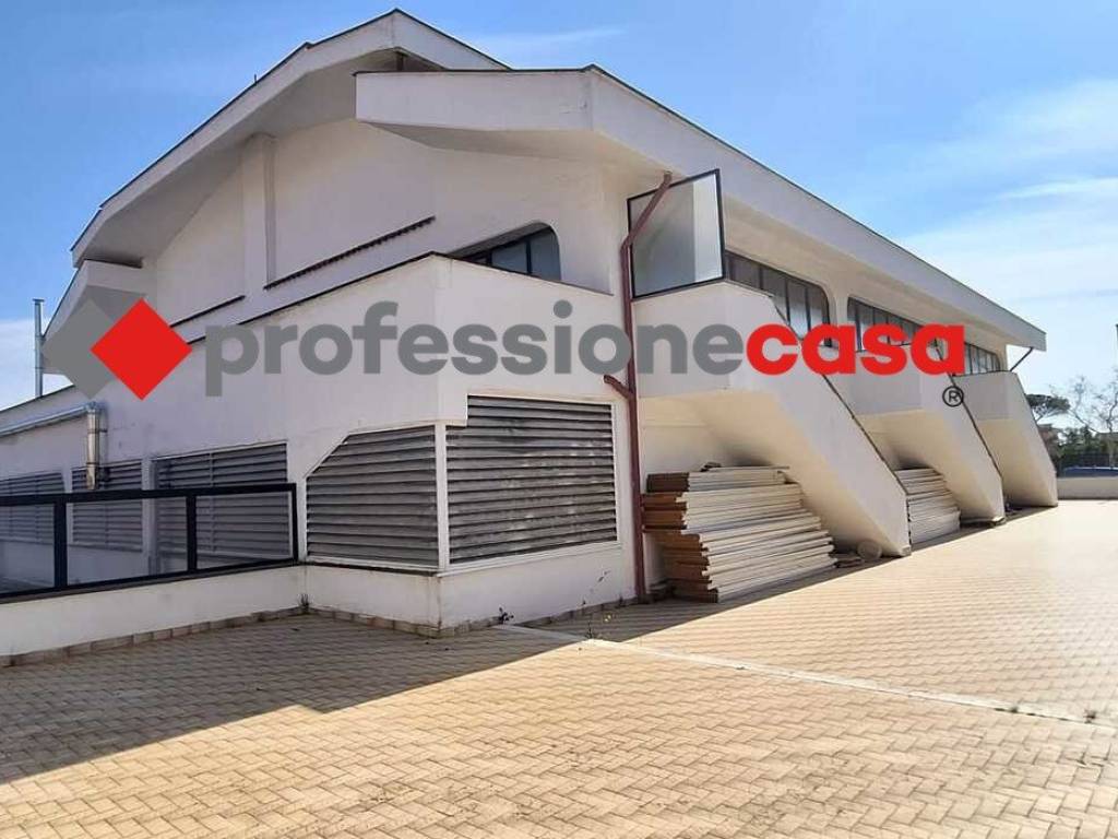 negozio in affitto a Pomezia in zona Torvaianica