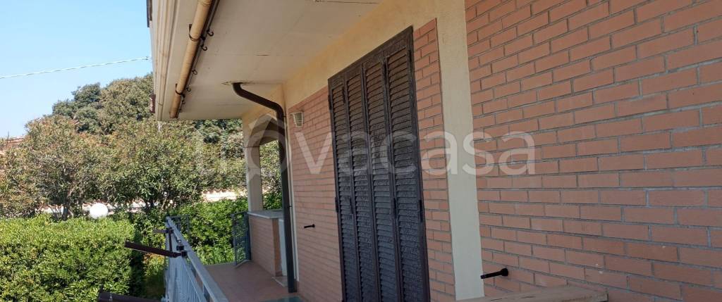 appartamento in affitto a Pomezia in zona Torvaianica Alta