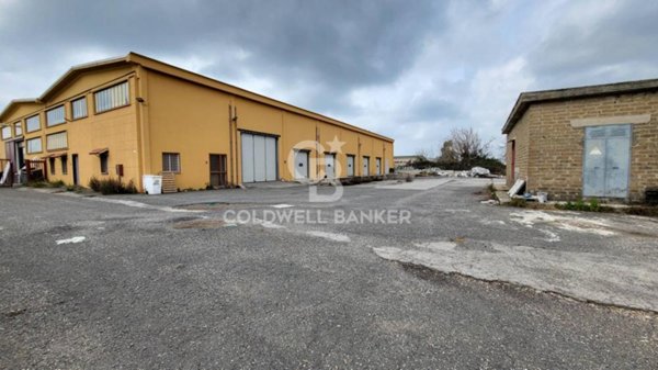 ufficio in affitto a Pomezia