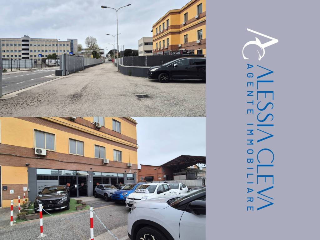 negozio in affitto a Pomezia