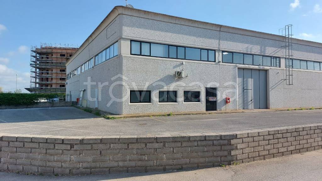 locale commerciale in affitto a Pomezia