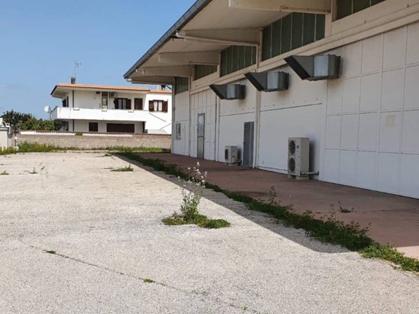 locale commerciale in affitto a Pomezia in zona Colli di Enea