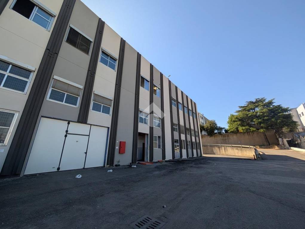 negozio in affitto a Pomezia